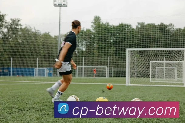 必威BETWAY官网发展历程